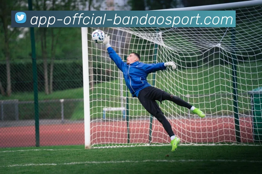 半岛体育品牌故事