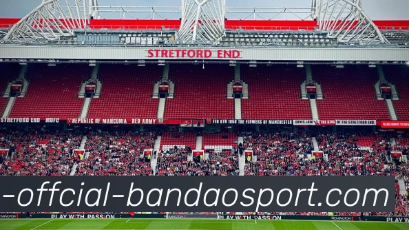 半岛体育服务体系