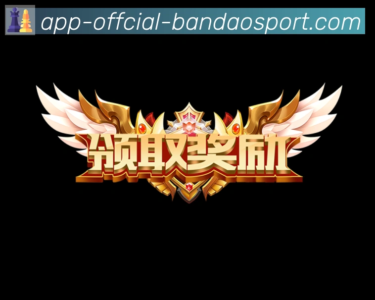 未来规划