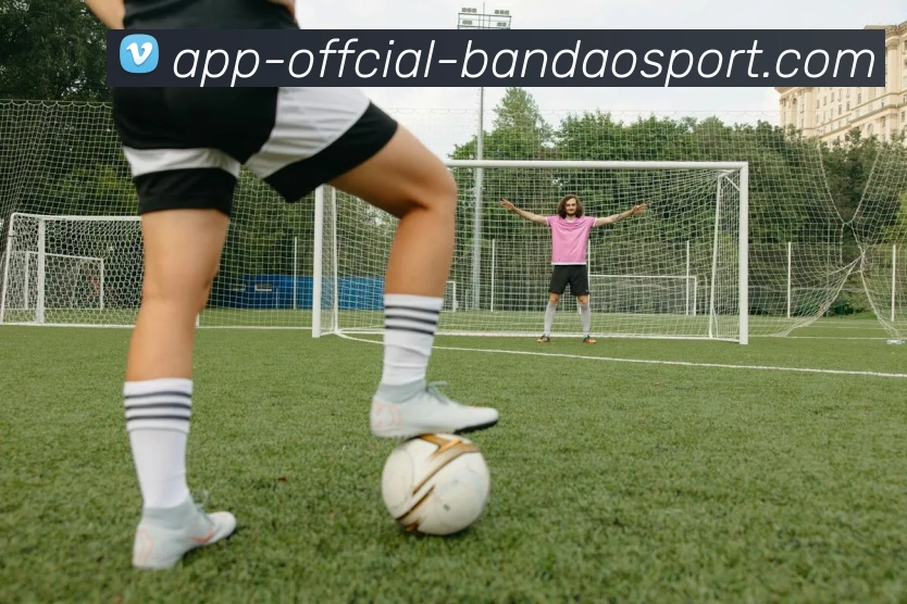 半岛体育APP 体育赛事宣传图